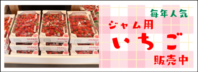 ジャム用いちご今年も販売しております。